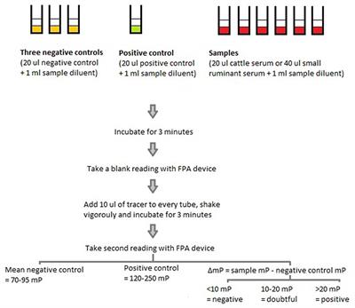 Evaluation of the Fluorescence Polarization Assay as a Rapid On-Spot Test for Ruminant Brucellosis in Côte d'Ivoire